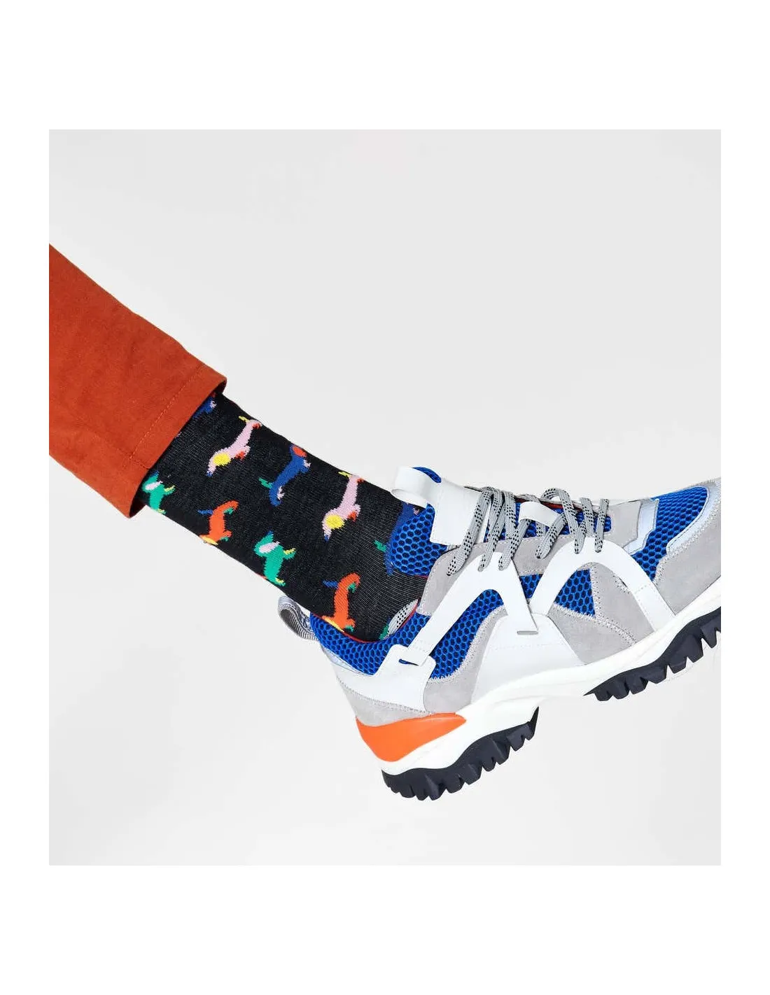 Calzini Unisex Wool Puppy Love Socks Happy Socks