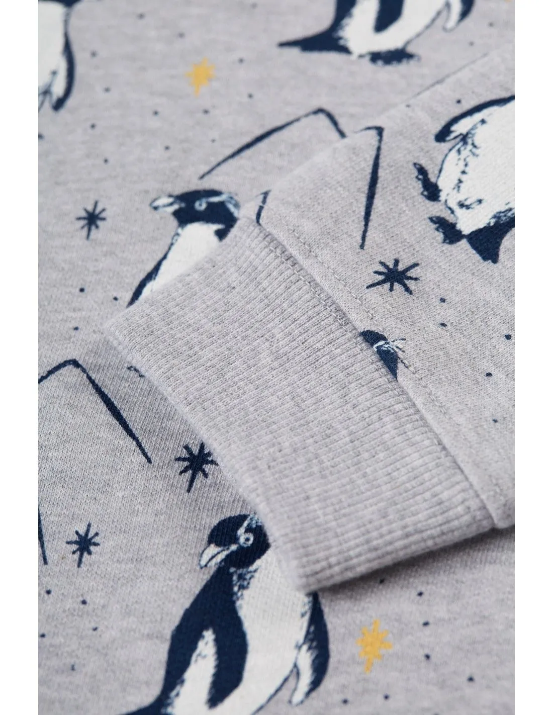 FELPA IN COTONE BIOLOGICO "PINGUINI"
