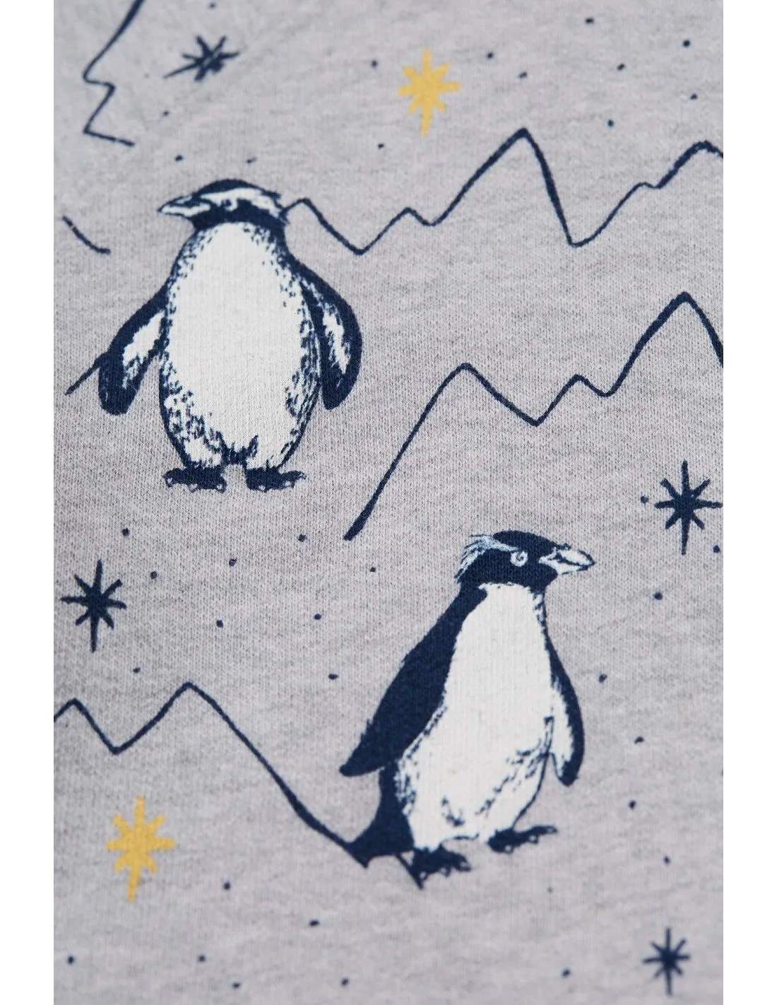 FELPA IN COTONE BIOLOGICO "PINGUINI"
