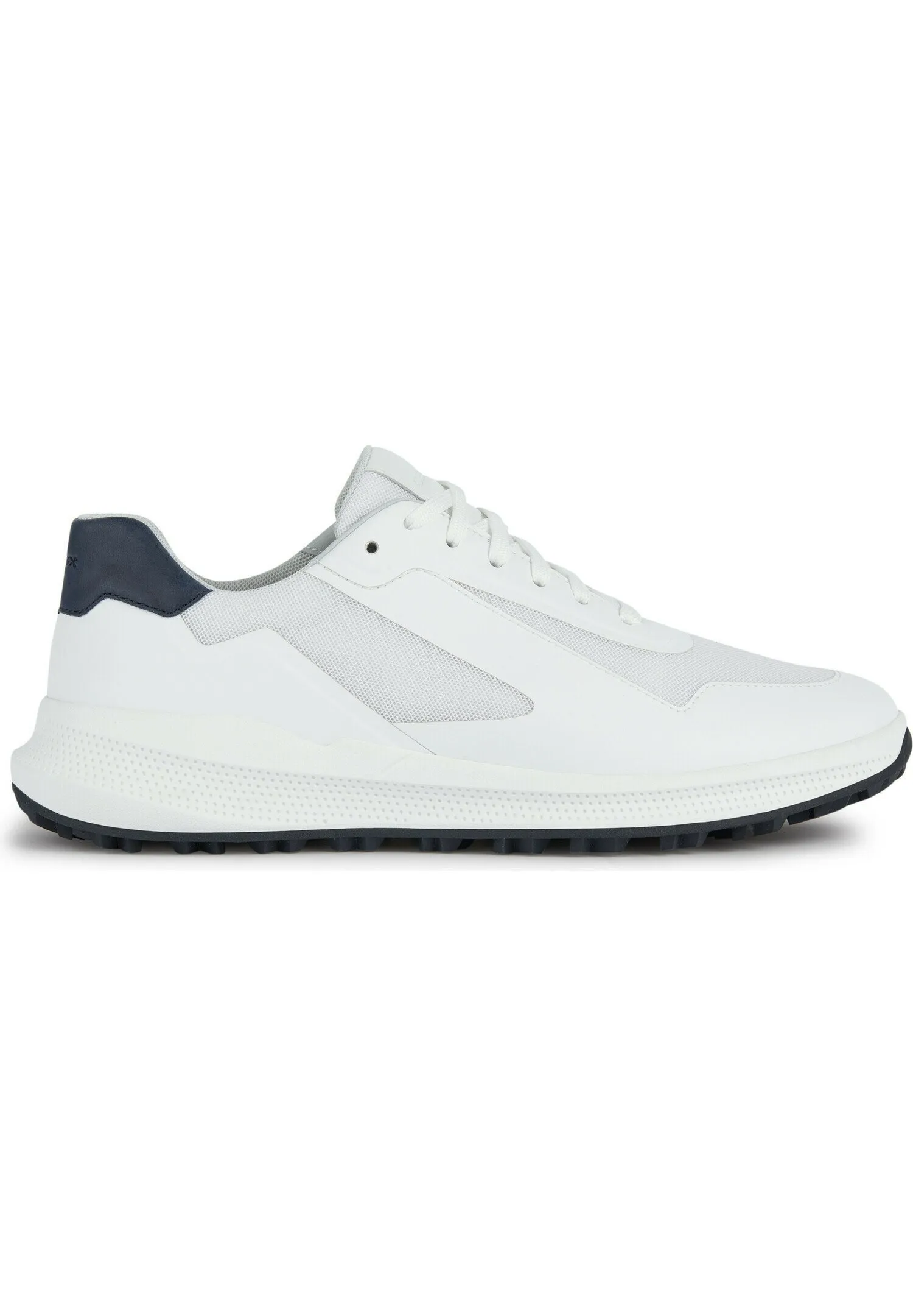 Sneakers basse
