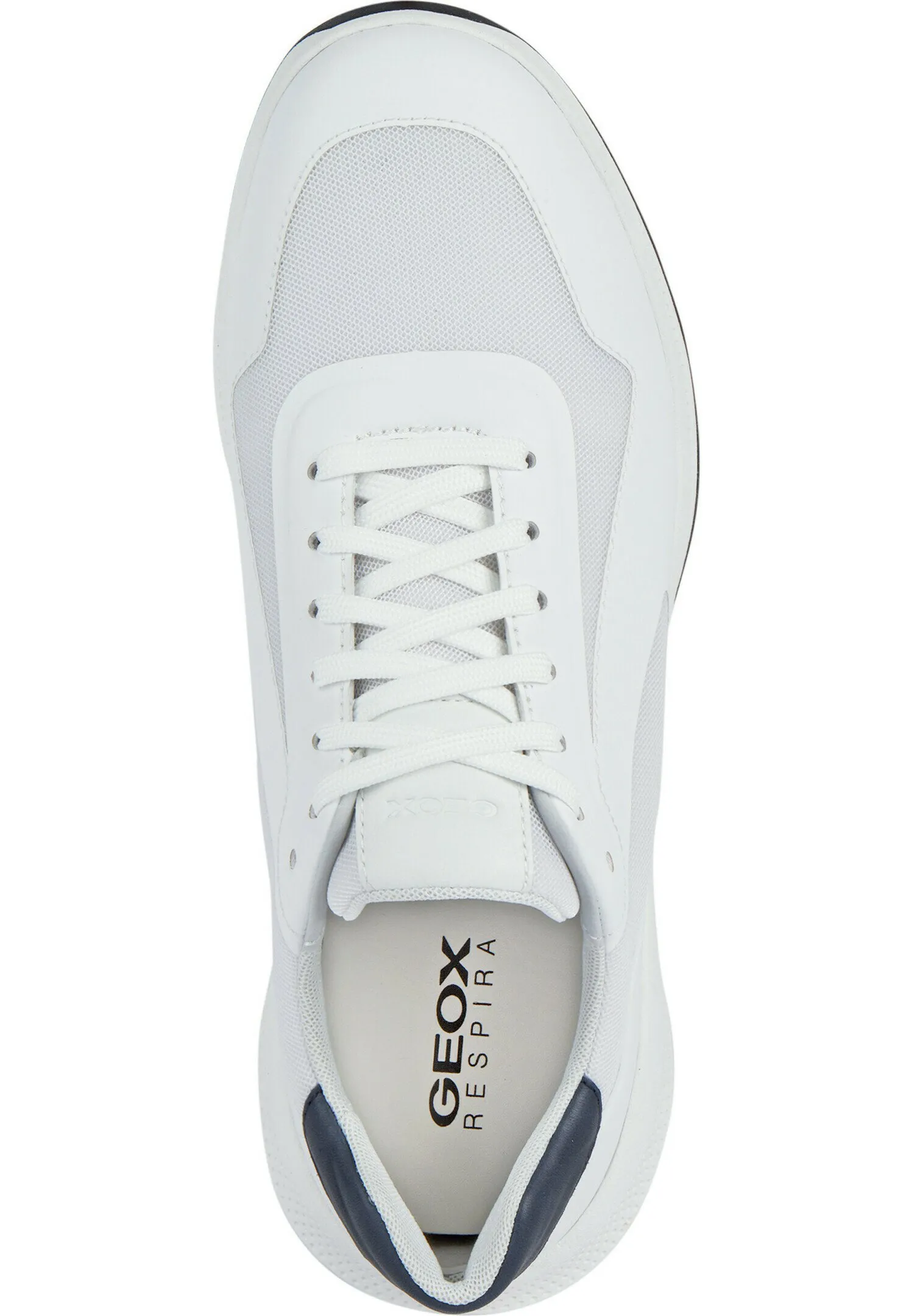 Sneakers basse