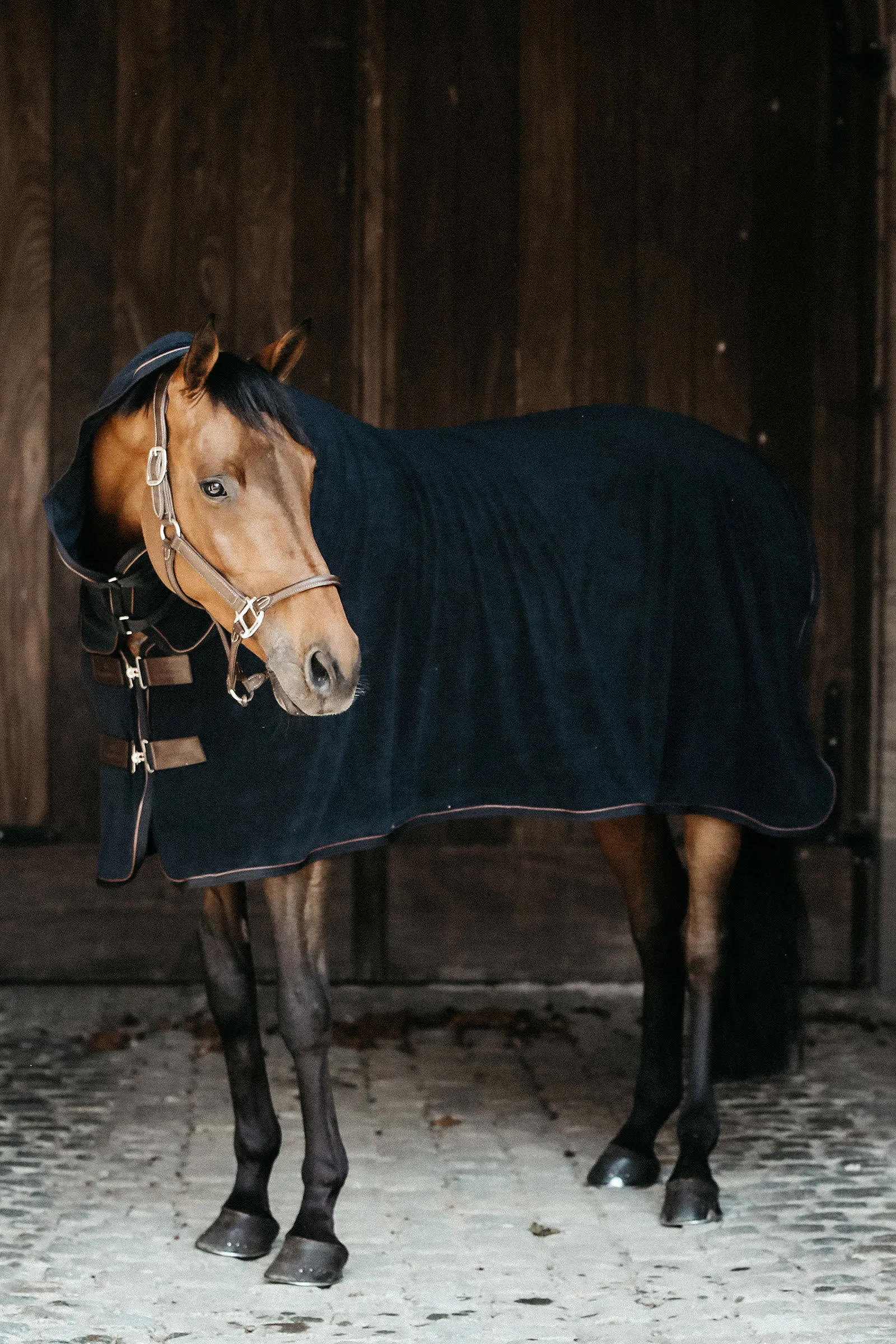 Tappeto refrigerante per asciugamani Kentucky Horsewear